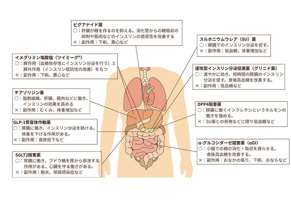 経口血糖降下薬の分類