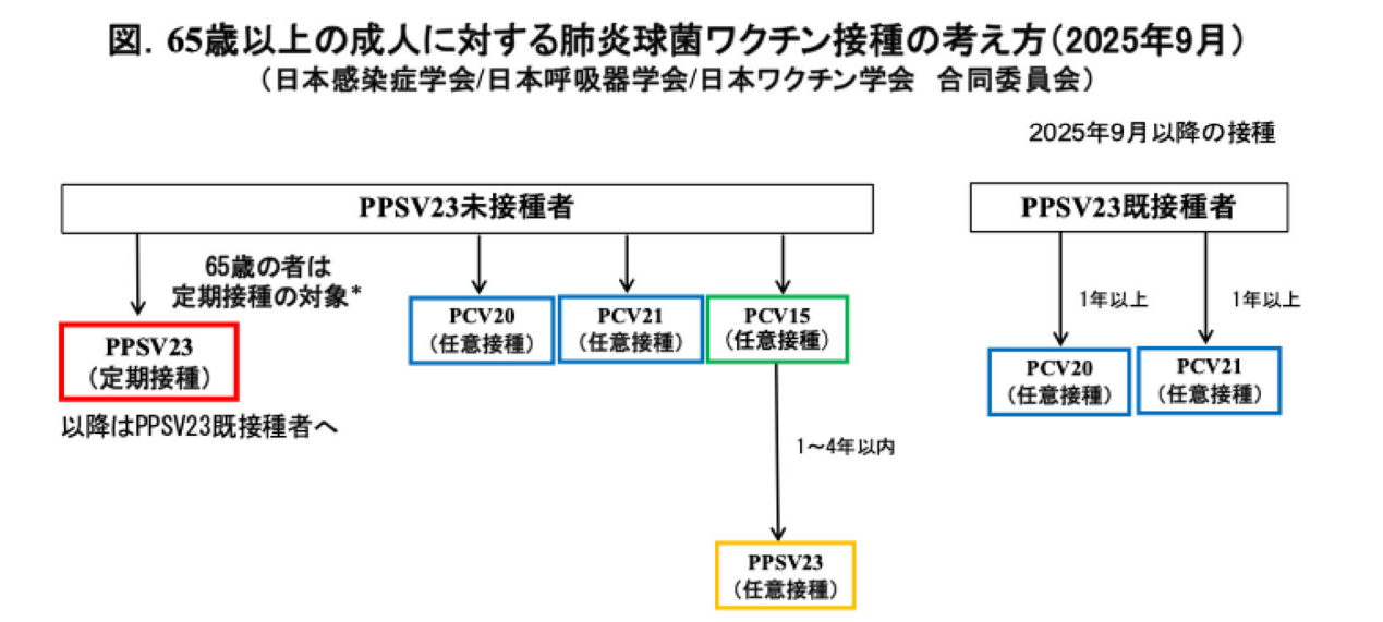 肺炎球菌ワクチン接種の考え方 表