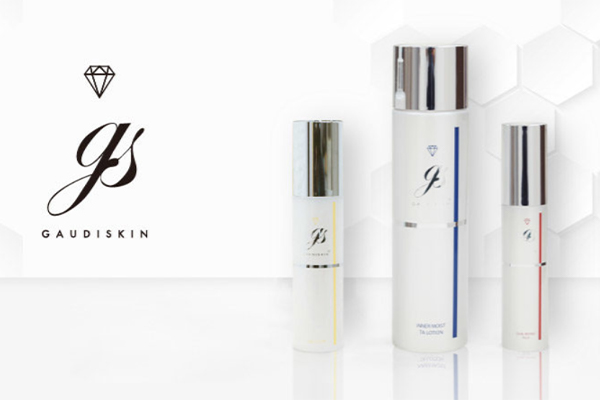 ガウディスキン