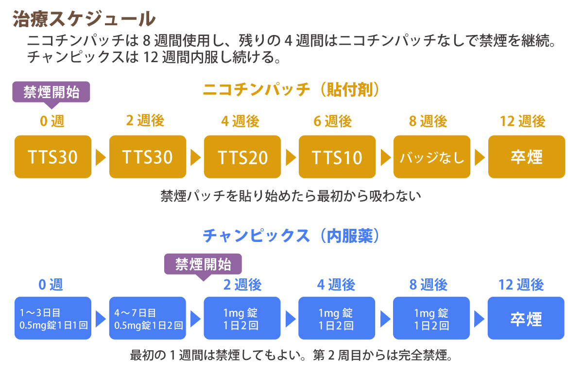 治療スケジュール